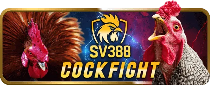 Cách chọn game nổ hũ tỷ lệ thắng cao